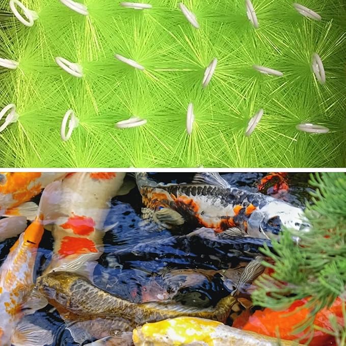 50 Packs Filter Brushes Aquarium Brushes Set for Koi Pond Water Garden Outdoor Pond Skimmers Brush Filter Cleaning Brush 16 Inch by 4.7 Inch (Green)